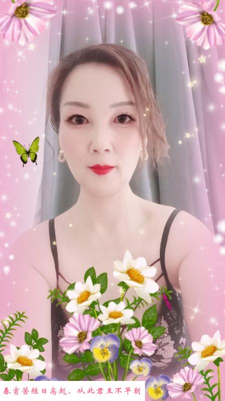 朝阳气质熟女 第1张