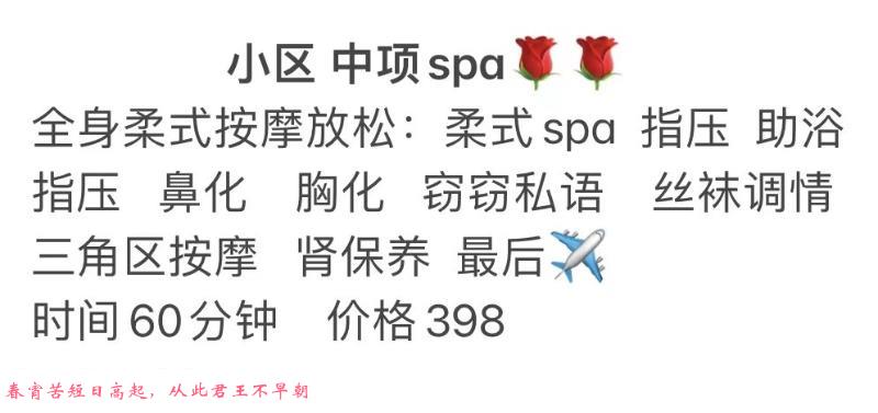 小白中项 第1张