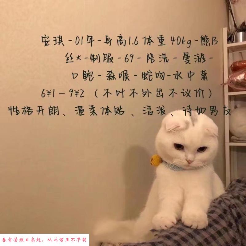 虎泉安琪 第4张
