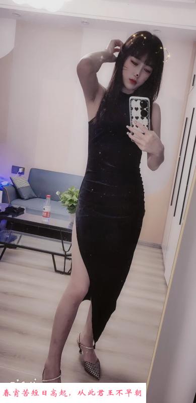 服务型江宁WT多多 第1张