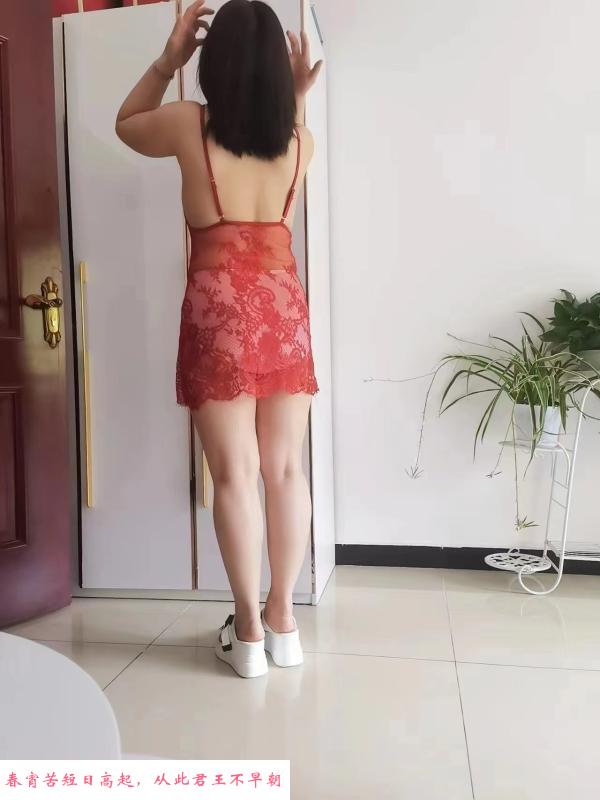 劲松小活毒龙 第1张