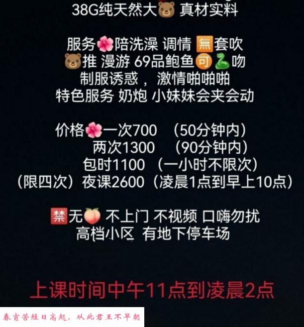 大波波美美 第1张