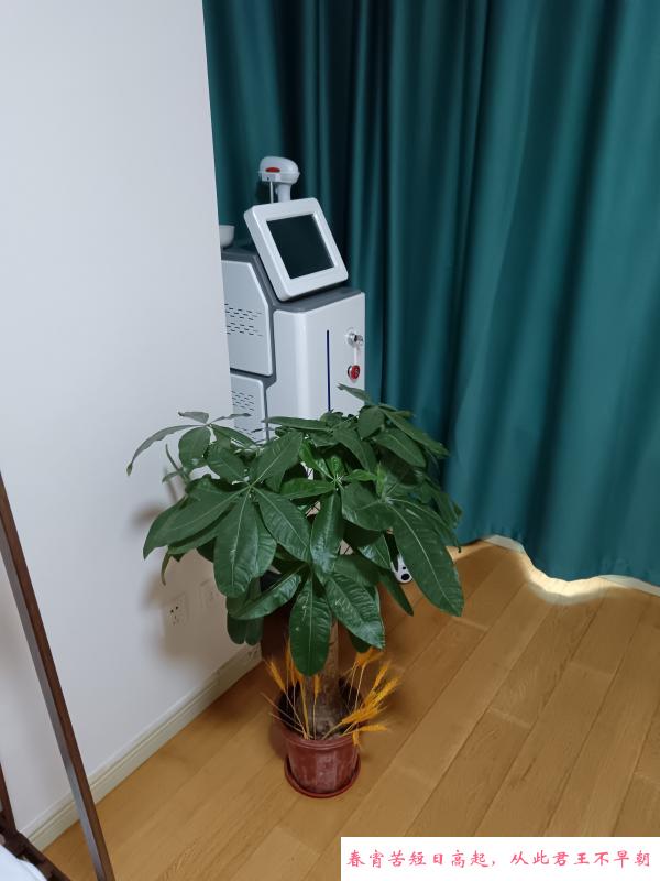 李七庄抓龙筯 第1张