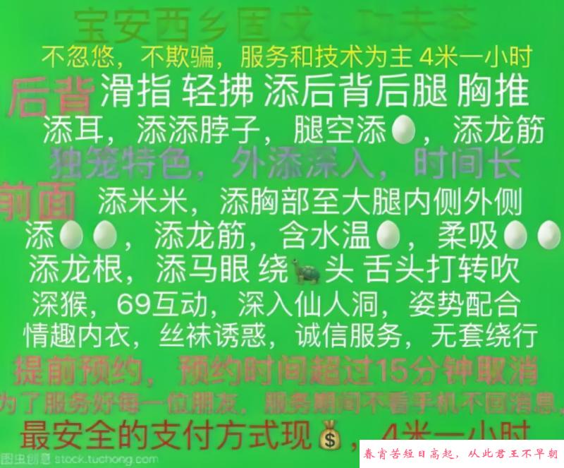 深圳技术茶 第1张
