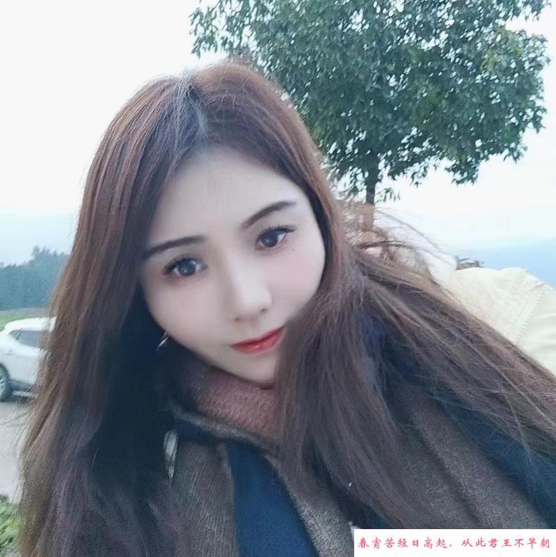 黄埔燕子 第1张