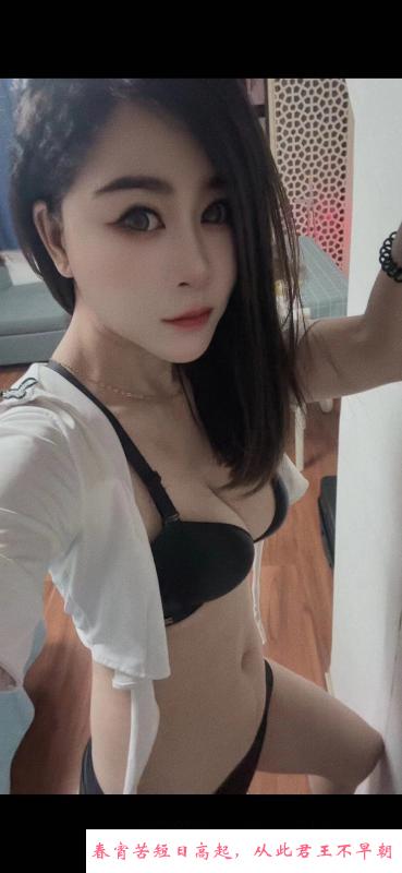 河东阿狸 第3张