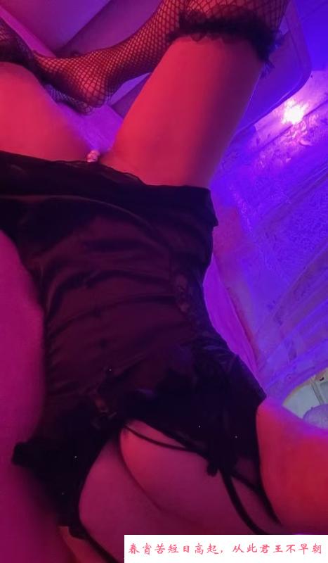 二刷性感D杯苏儿 第1张