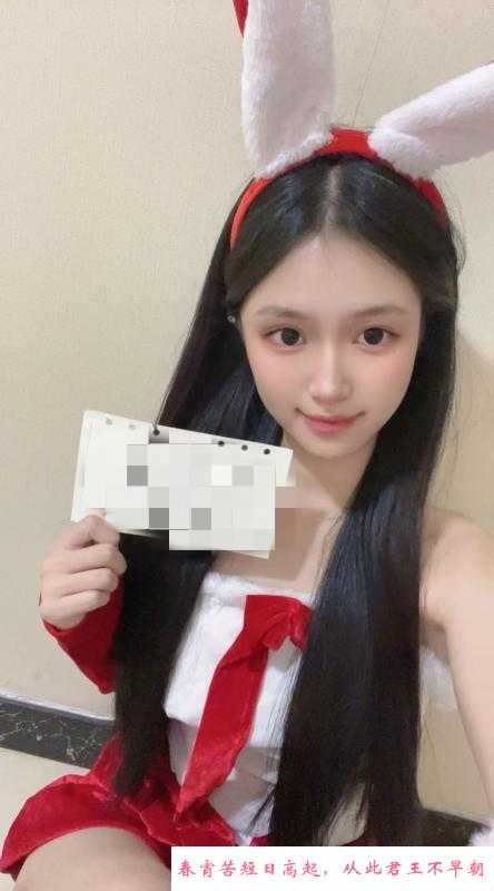 圣诞兔小雯 第1张