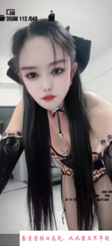 性感御姐 第1张
