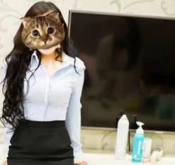 东城区波霸 第1张