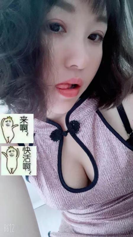 南山小野猫 第1张